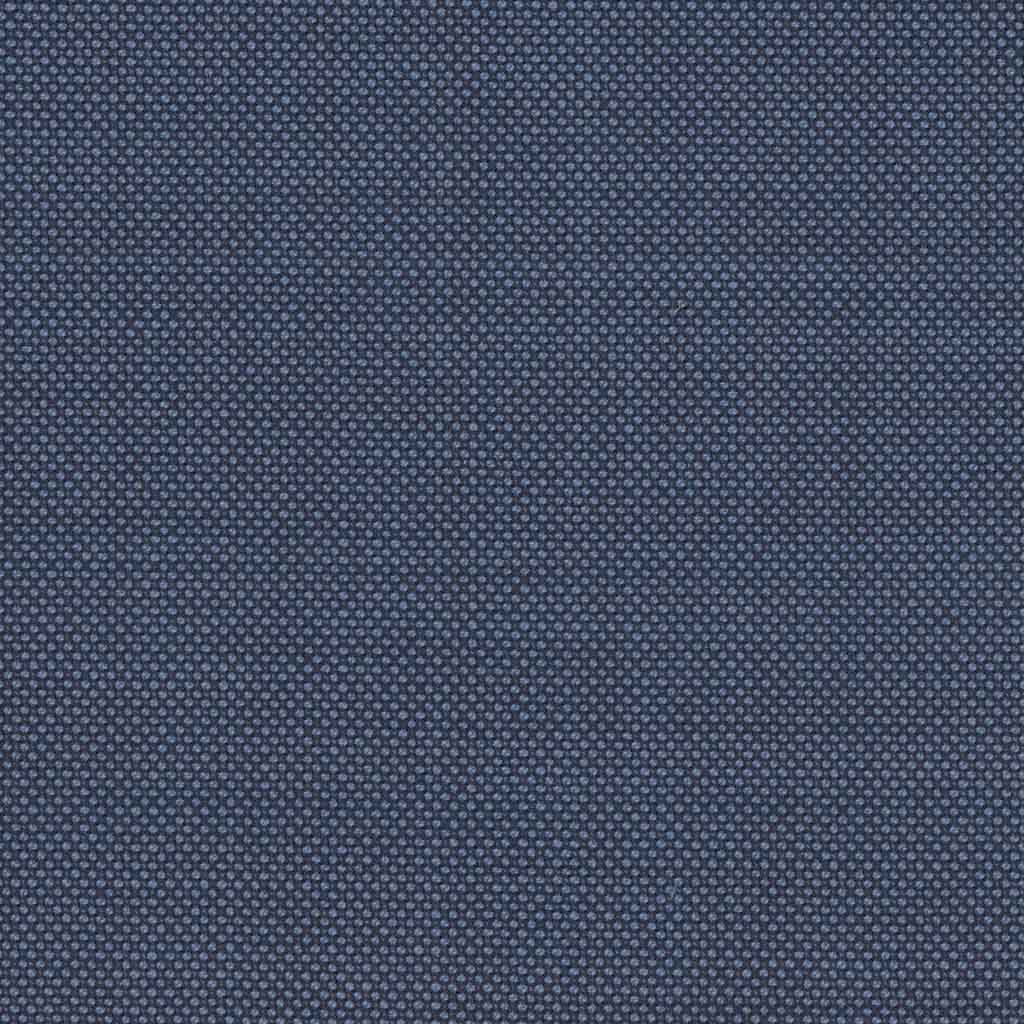 BLUE, BIRDEYE (DR# 12533)