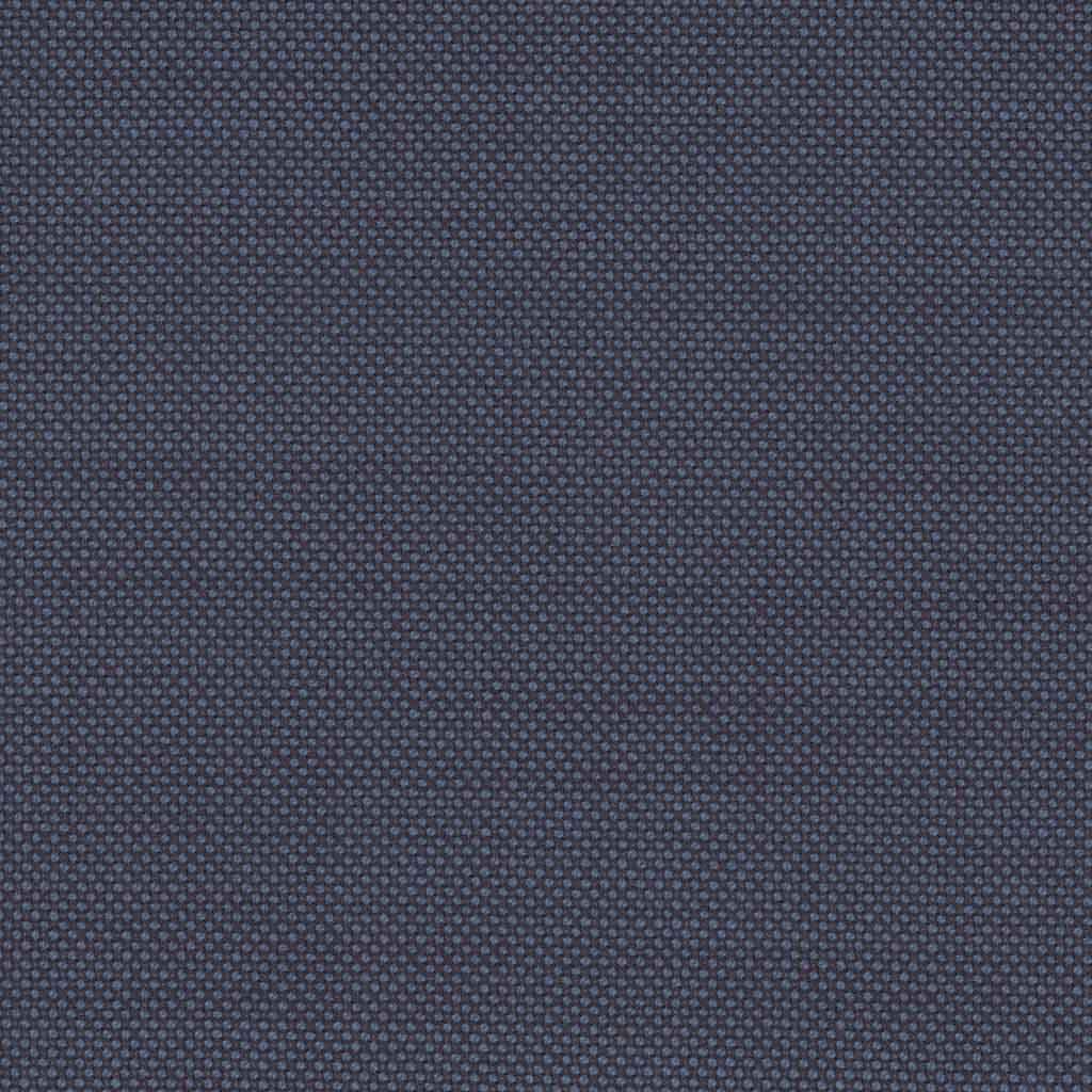 BLUE, BIRDEYE (DR# 12534)