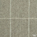 TAN, OFF WHITE CHECKS