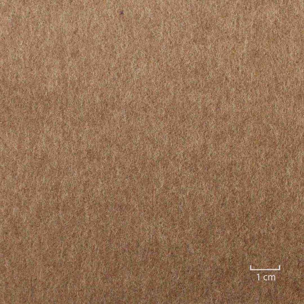 BROWN, PLAIN