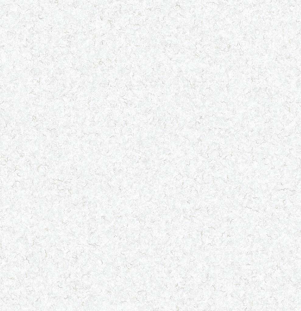 WHITE, PLAIN
