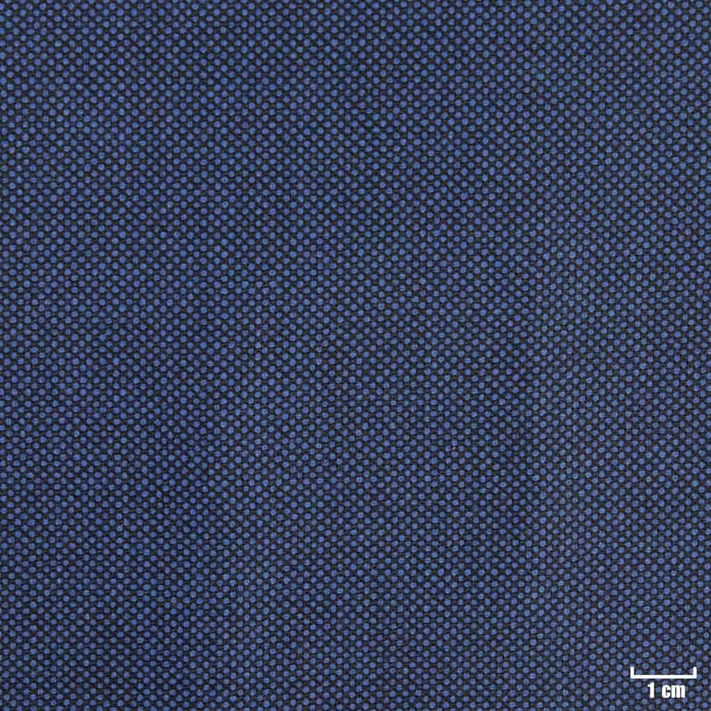 BLUE, BIRDEYE (DR# 60052)