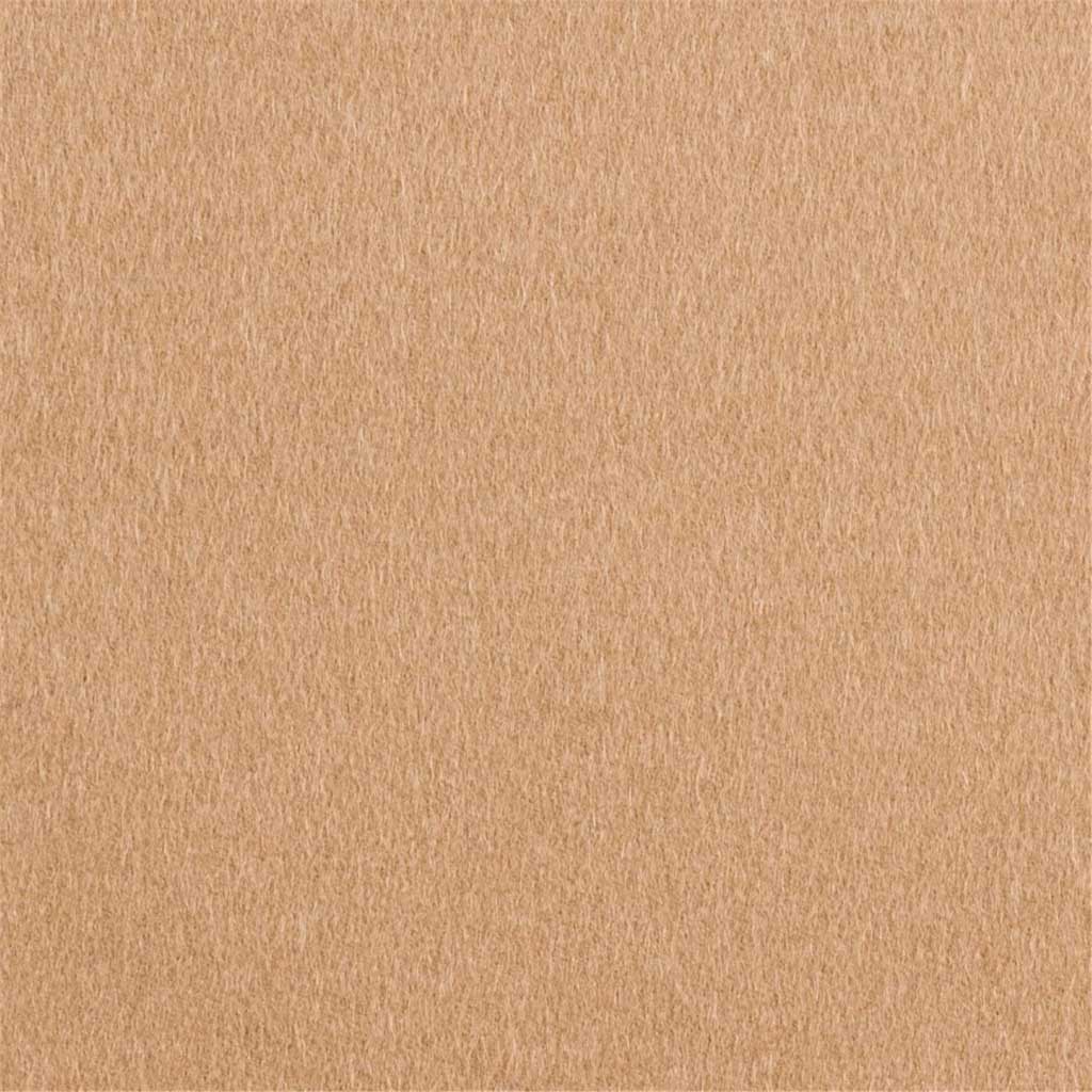 CAMEL, PLAIN