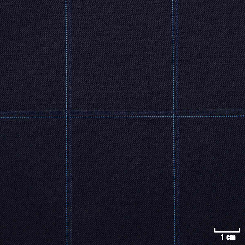 NAVY,CHECKS