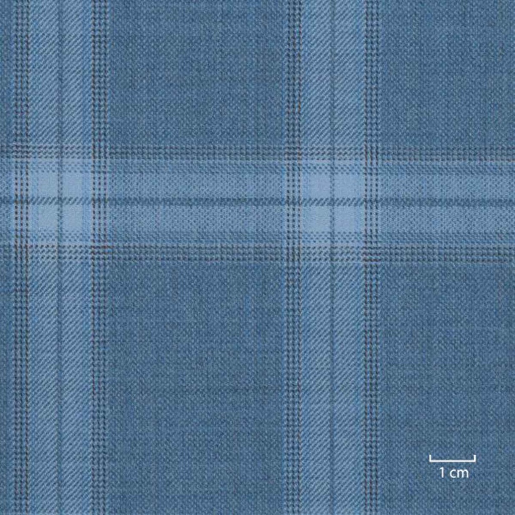 BLUE, CHECKS
