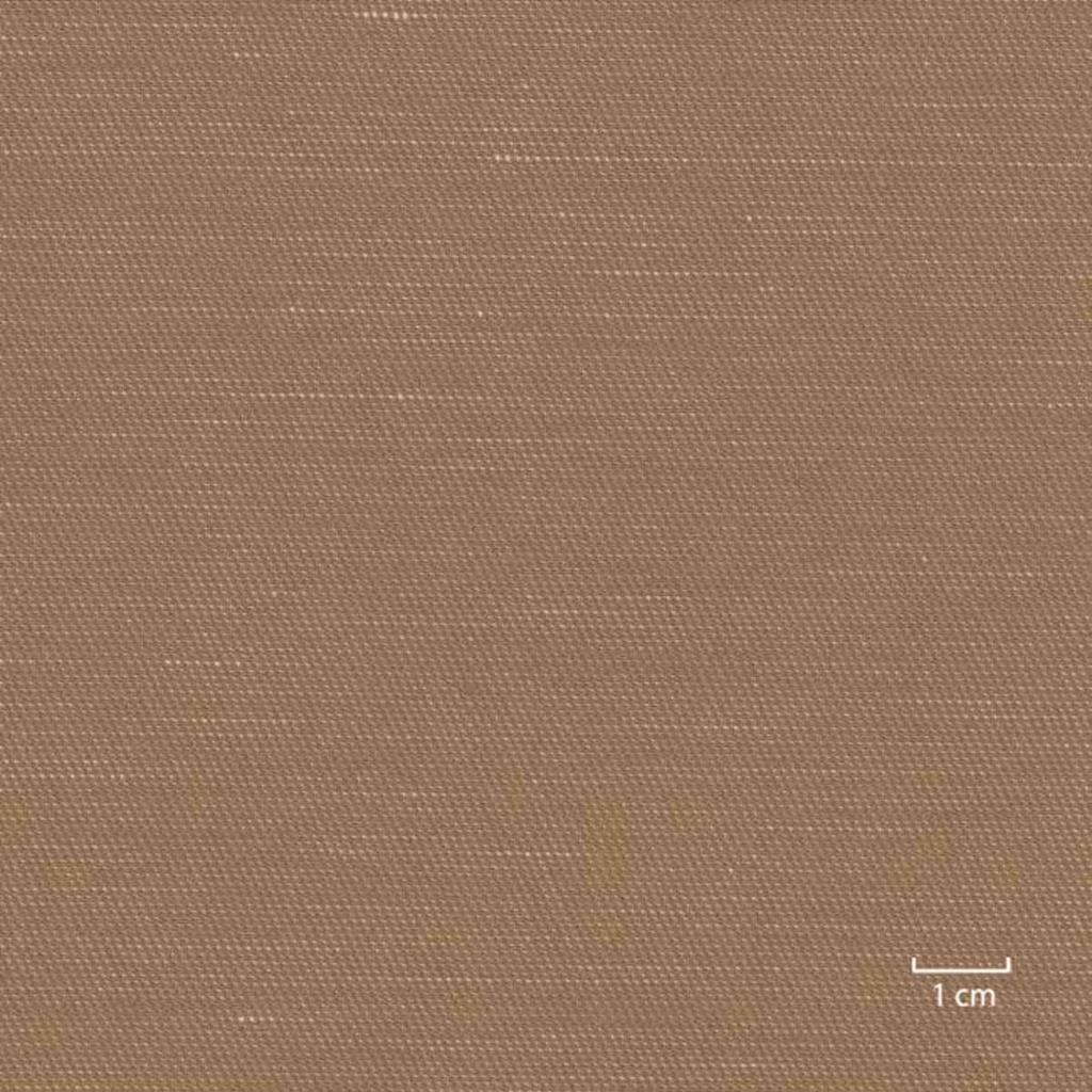 CAMEL, PLAIN