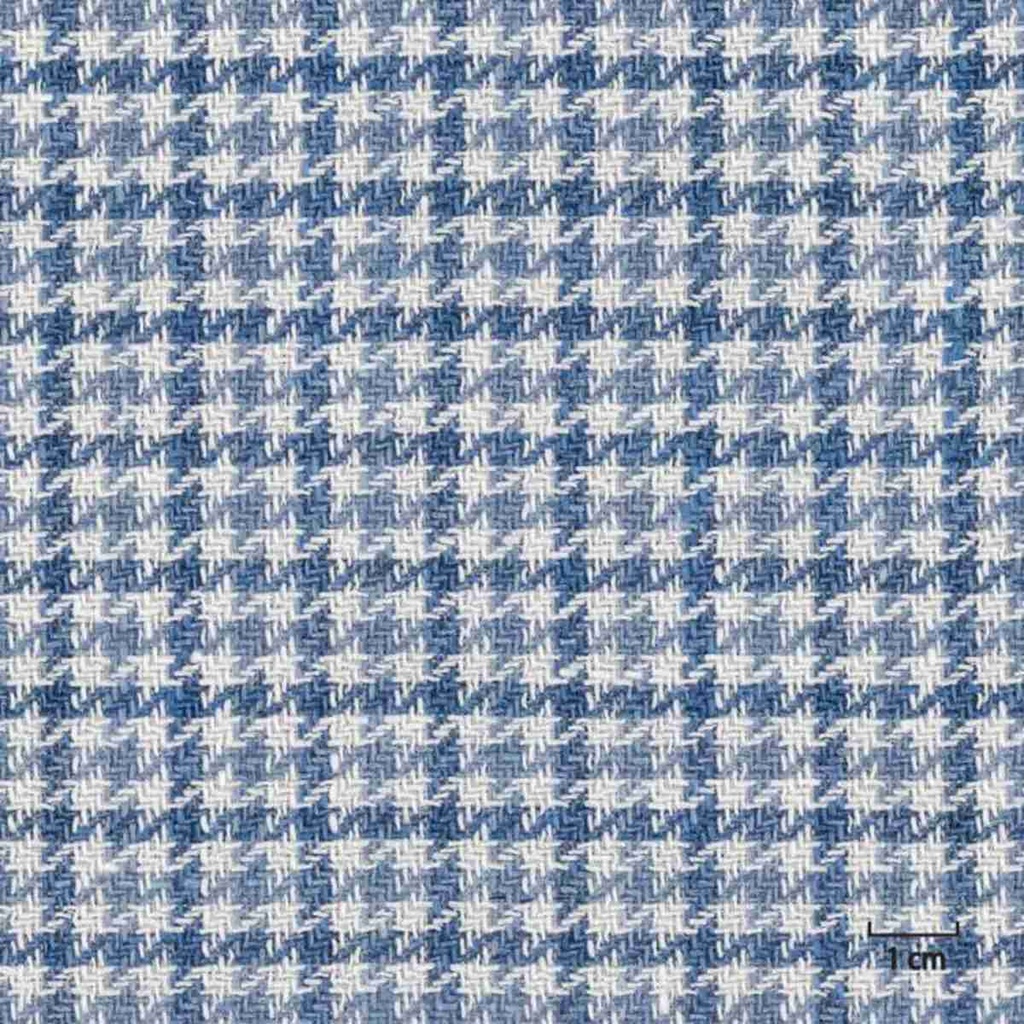 BLUE, CHECKS