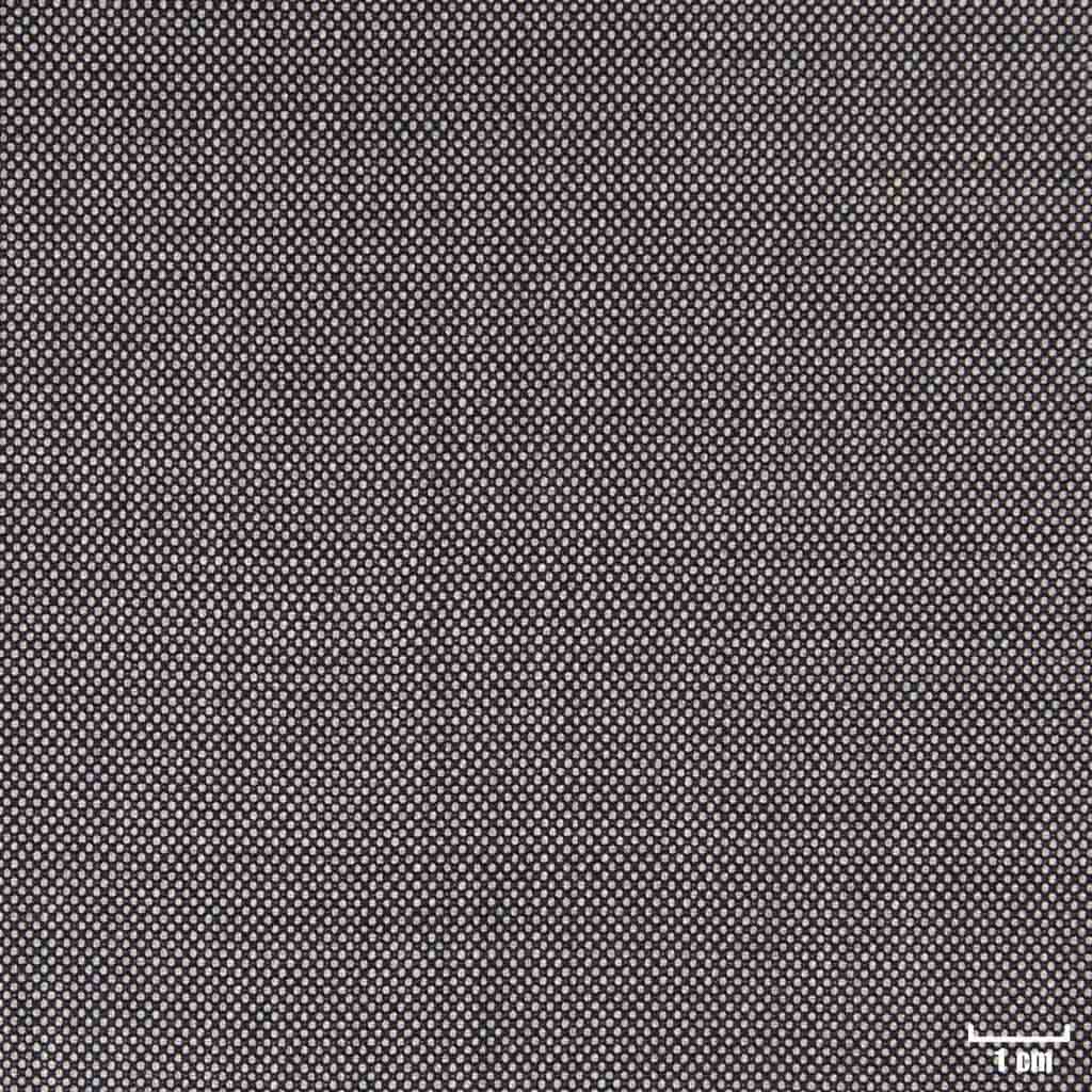 GREY, BIRDEYE (DR# 10140)