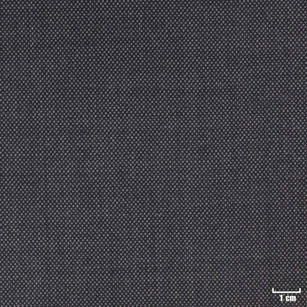 DARK GREY, BIRDEYE (DR# 10141)