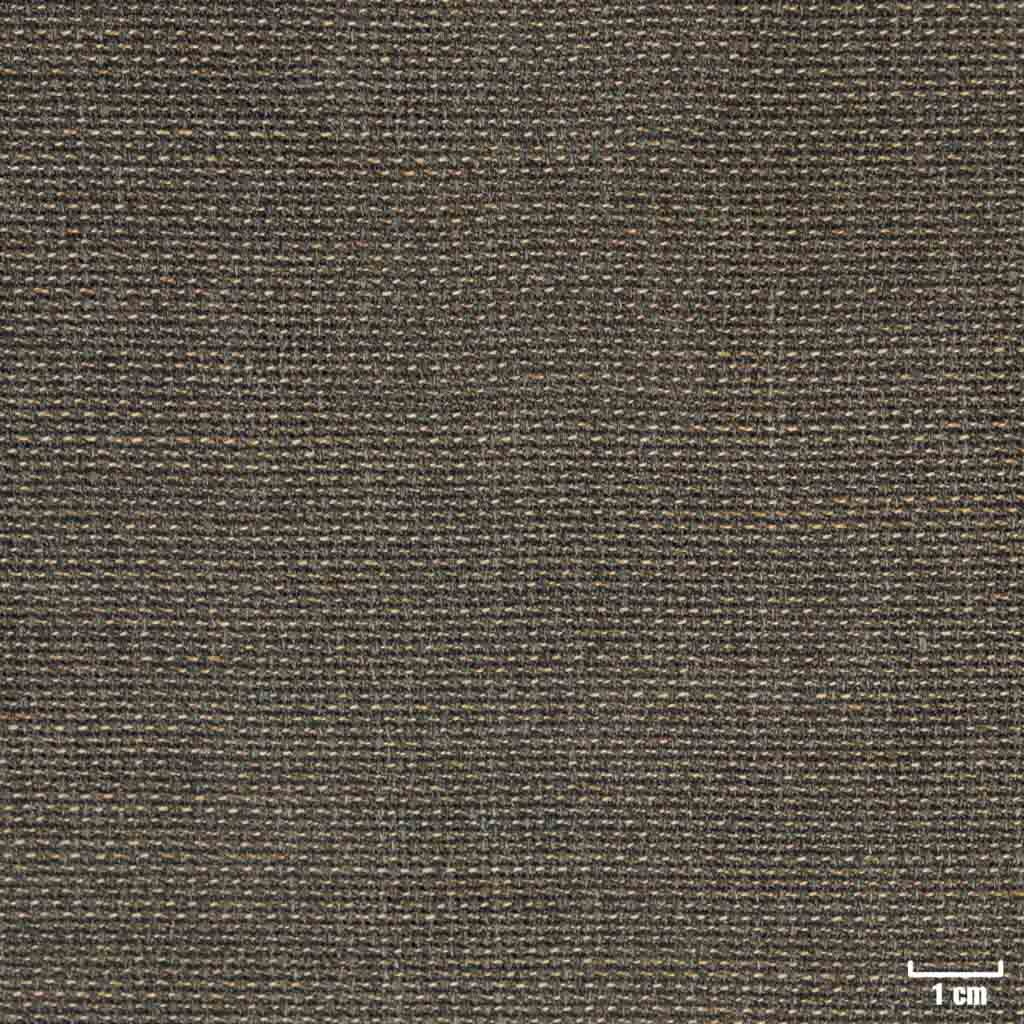 BROWN, HOPSACK (DR# 30103)