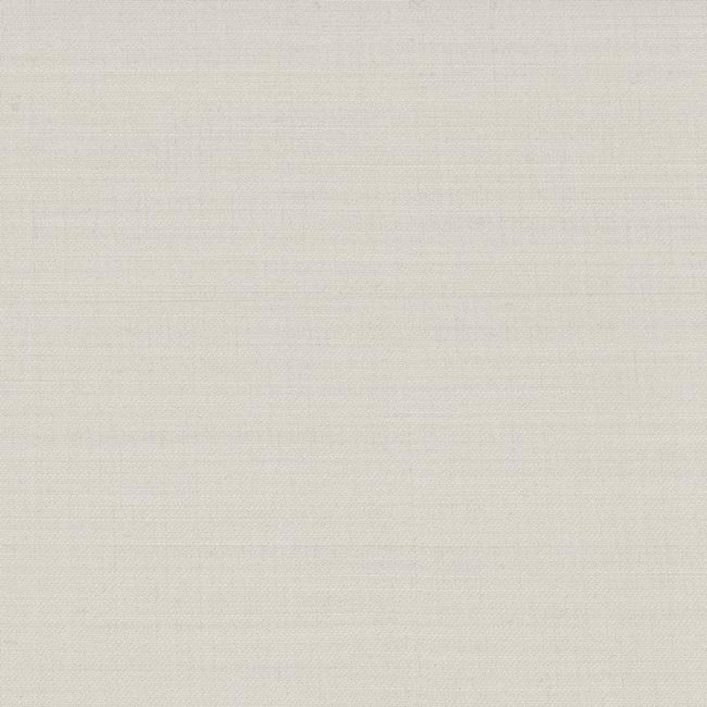 OFF_WHITE, PLAIN (DR# 20125)