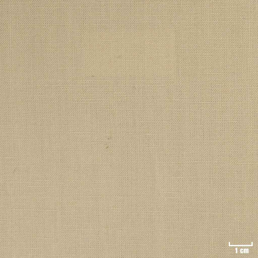 TAN, PLAIN (DR# 25142)
