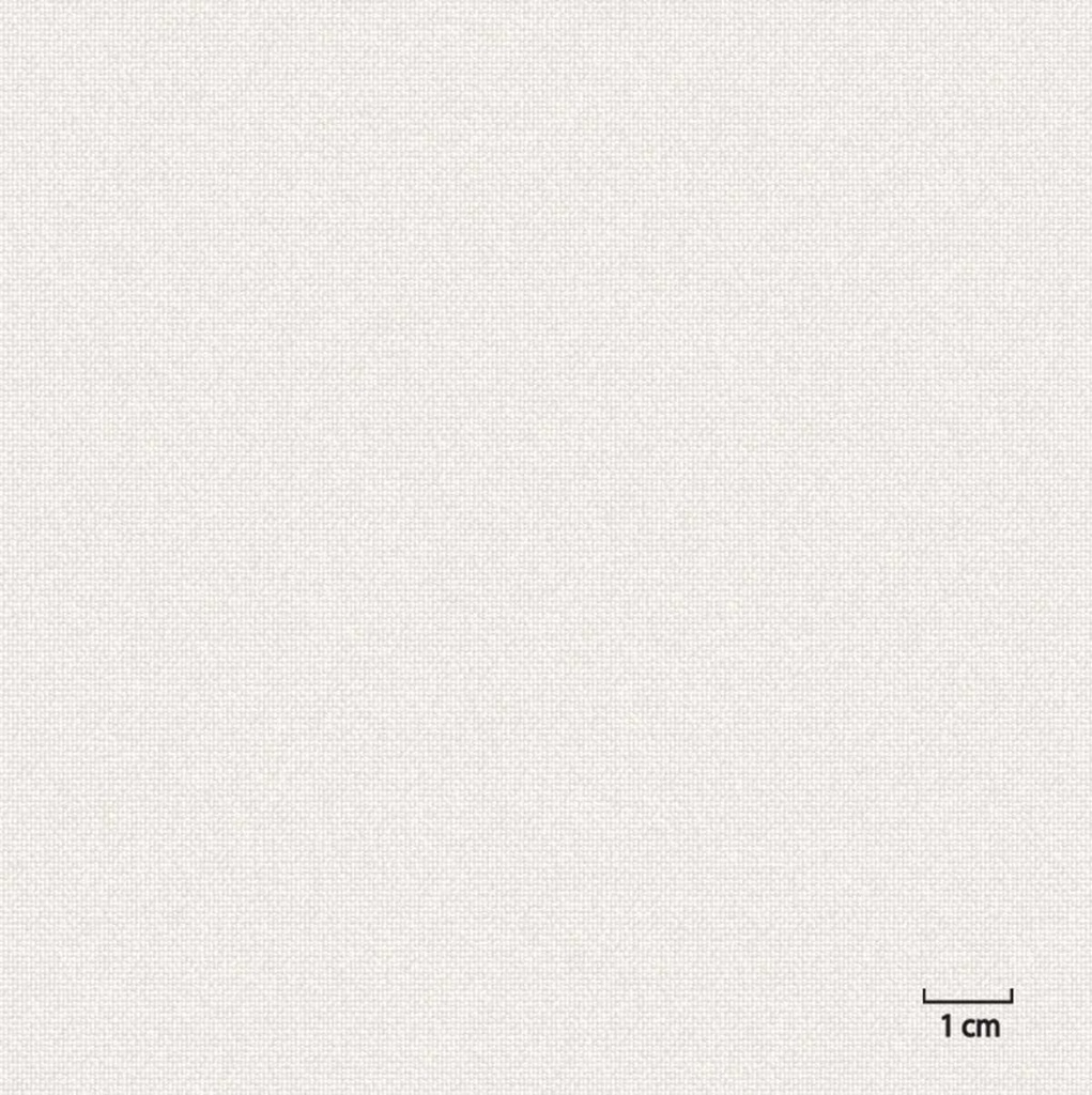 OFF_WHITE, PLAIN