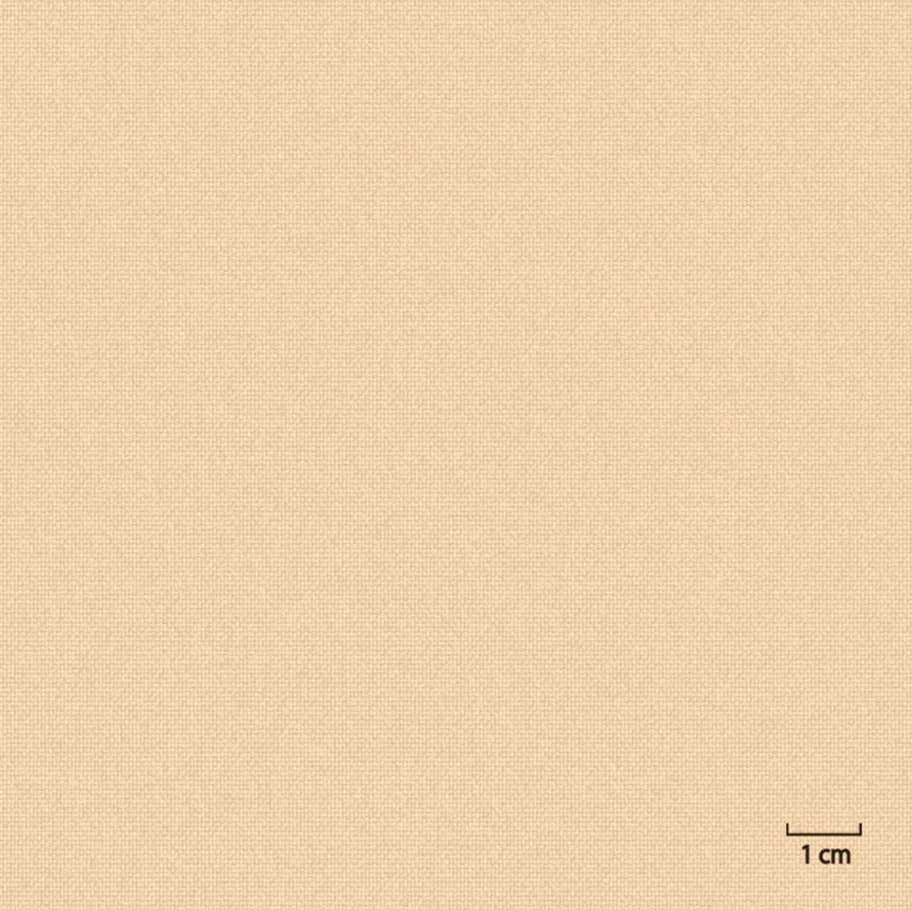 TAN, PLAIN