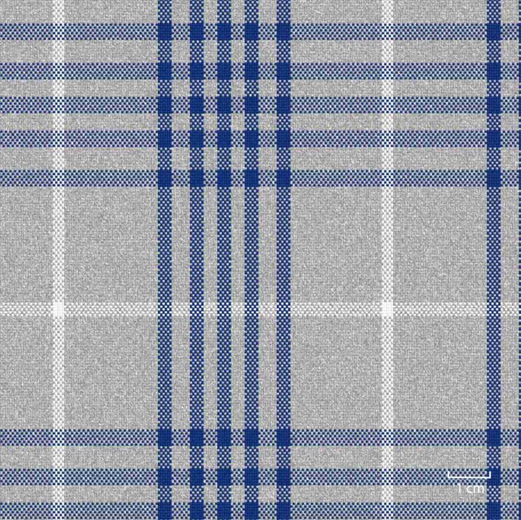 GREY, BIG BLUE_WHITE CHECKS