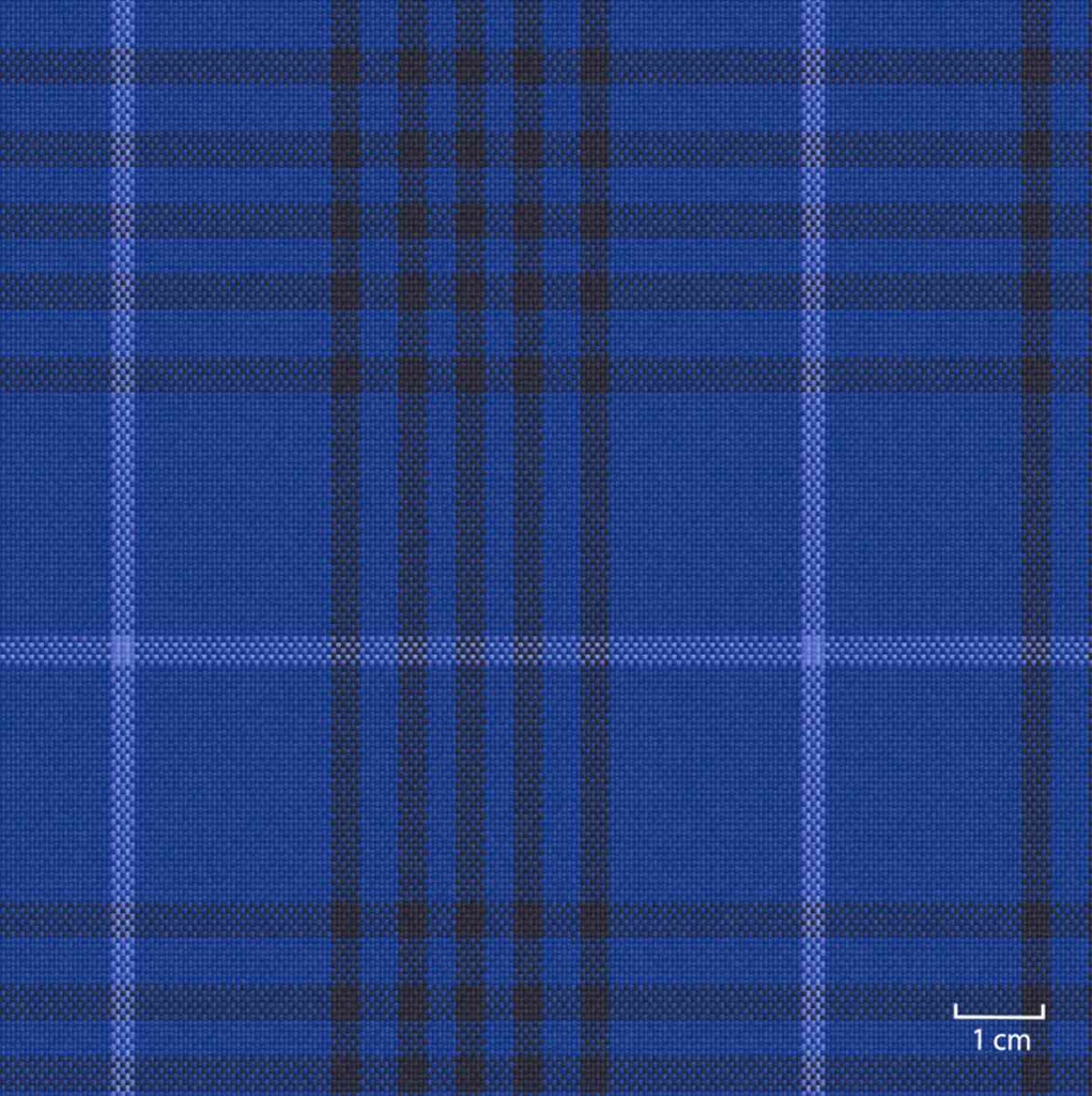 BLUE, BIG CHECKS