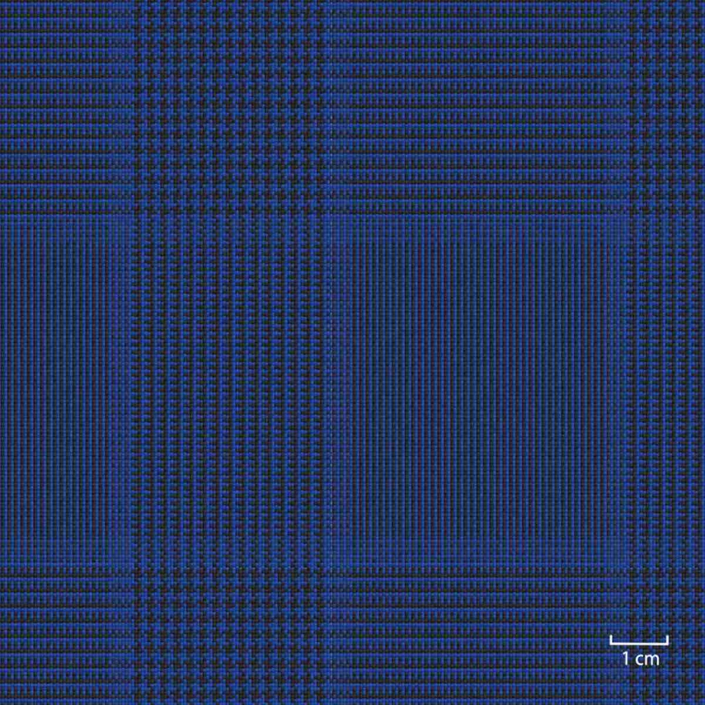 BLUE, CHECKS