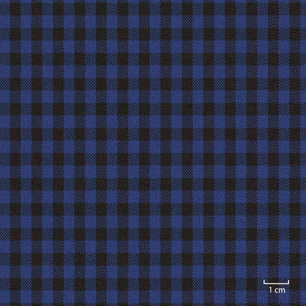 BLUE, SMALL CHECKS