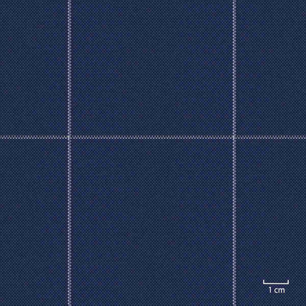 BLUE, BIG CHECKS