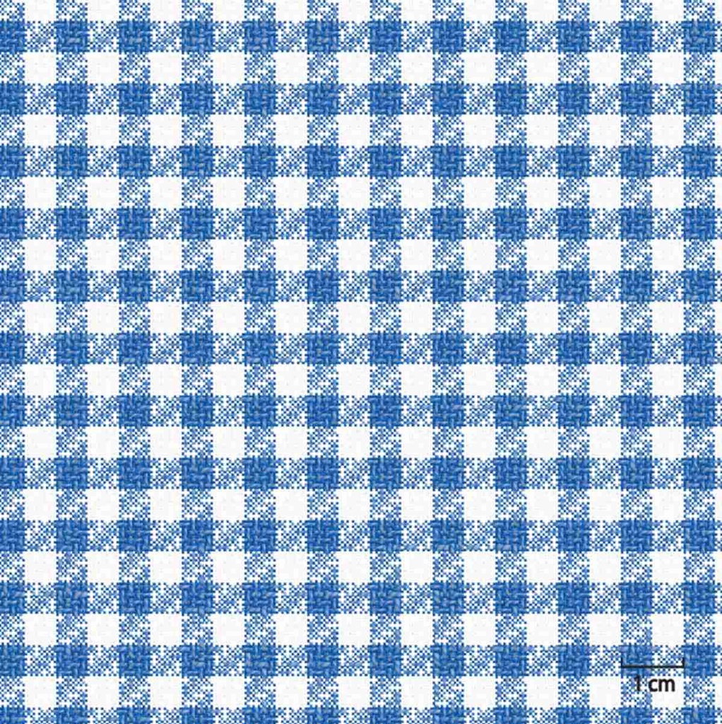 BLUE, SMALL CHECKS