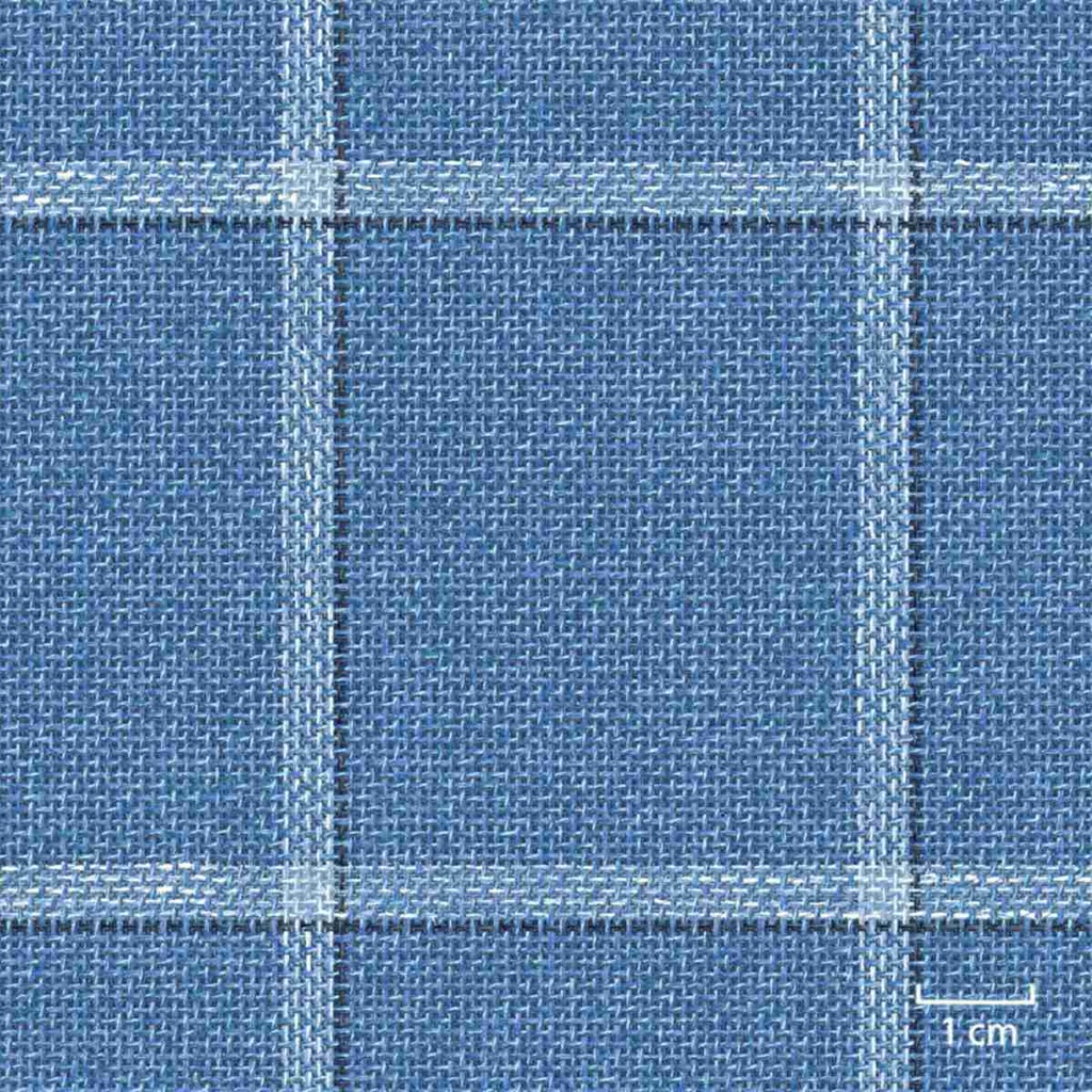 BLUE, BIG CHECKS