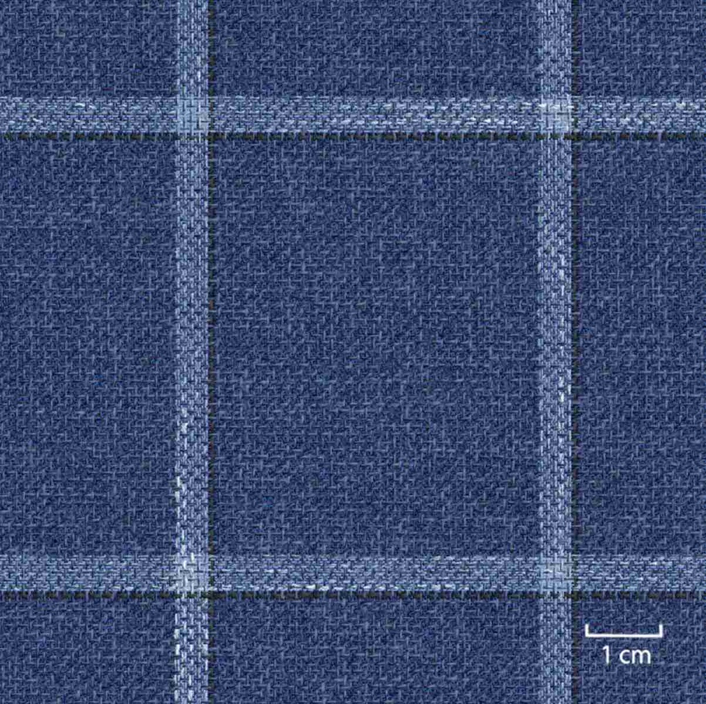 BLUE, BIG CHECKS