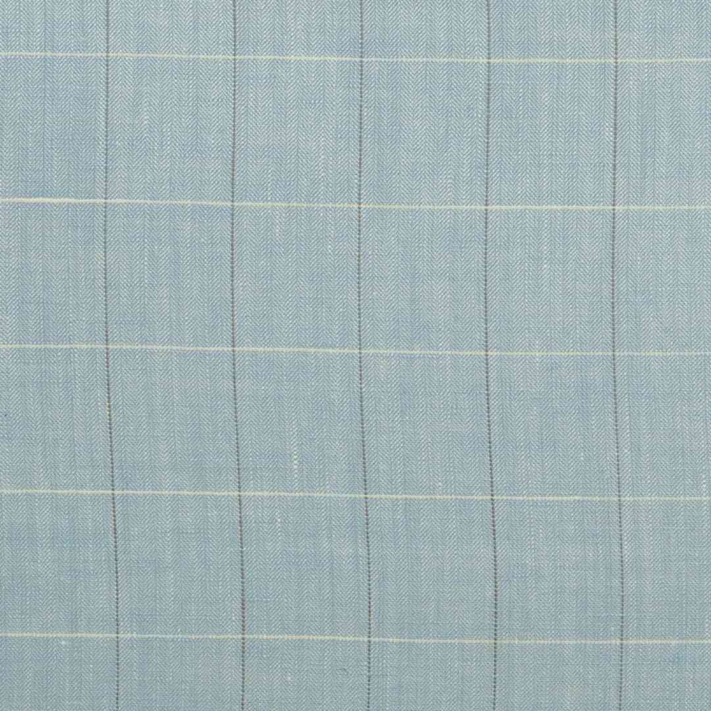 BLUE, CHECKS