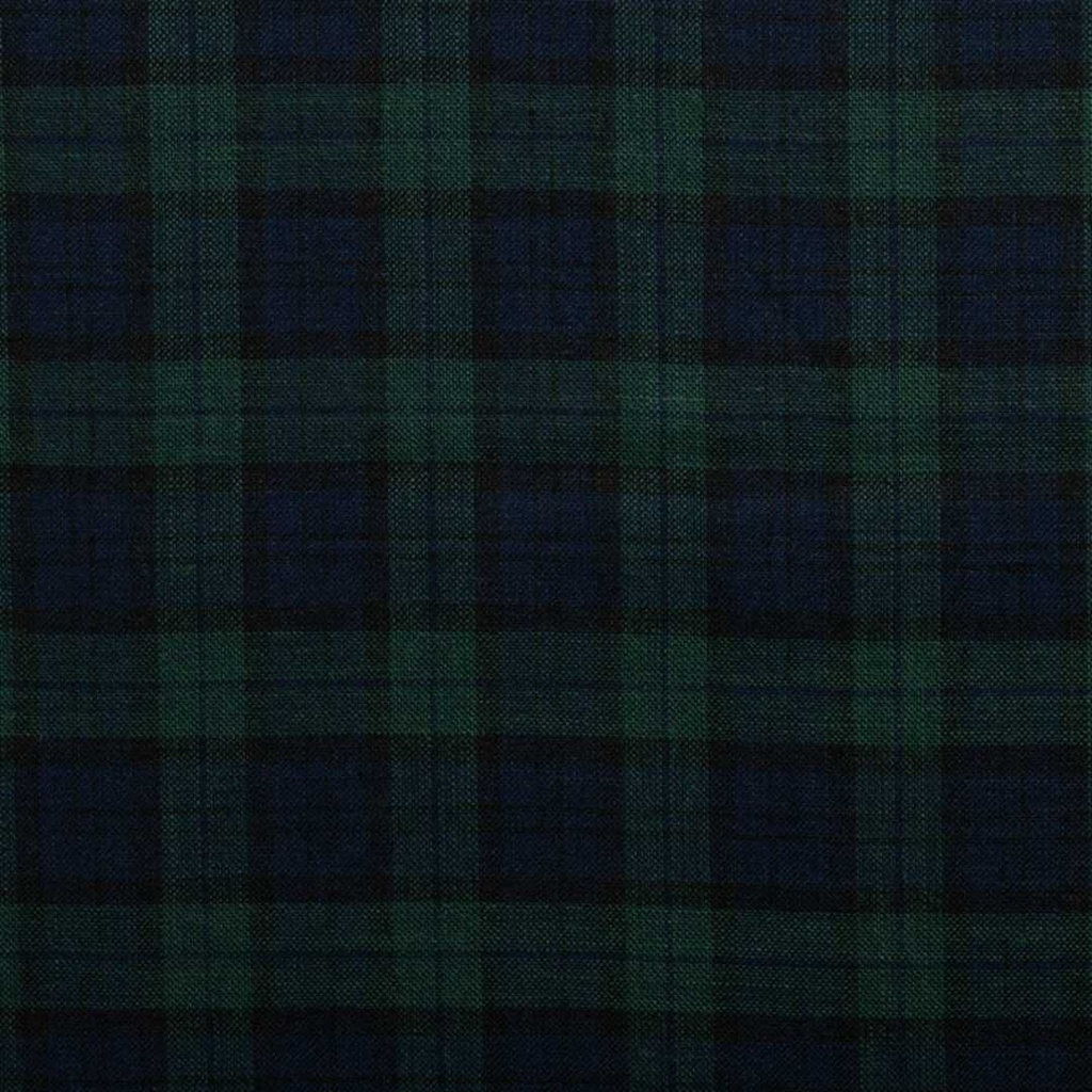 BLUE, GREEN CHECKS