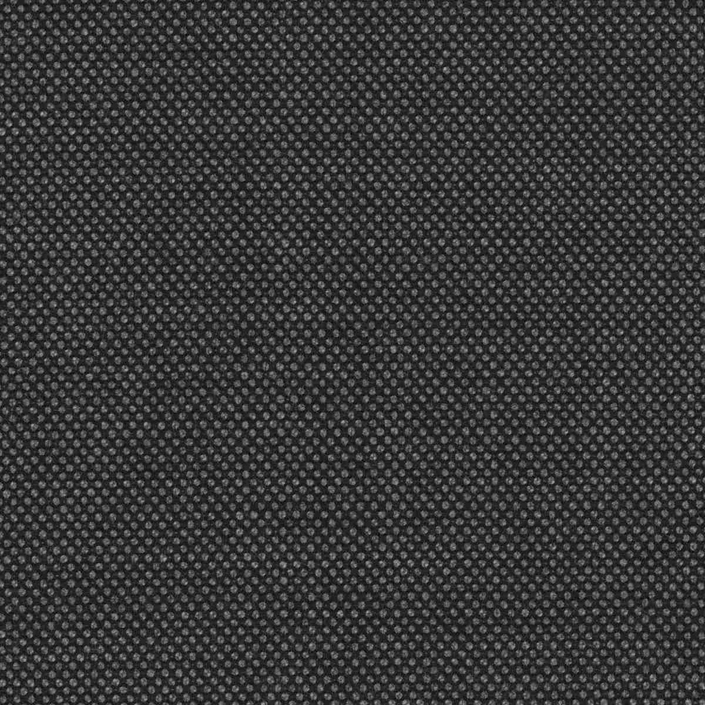 GREY, BIRDEYE (DR# 61030)