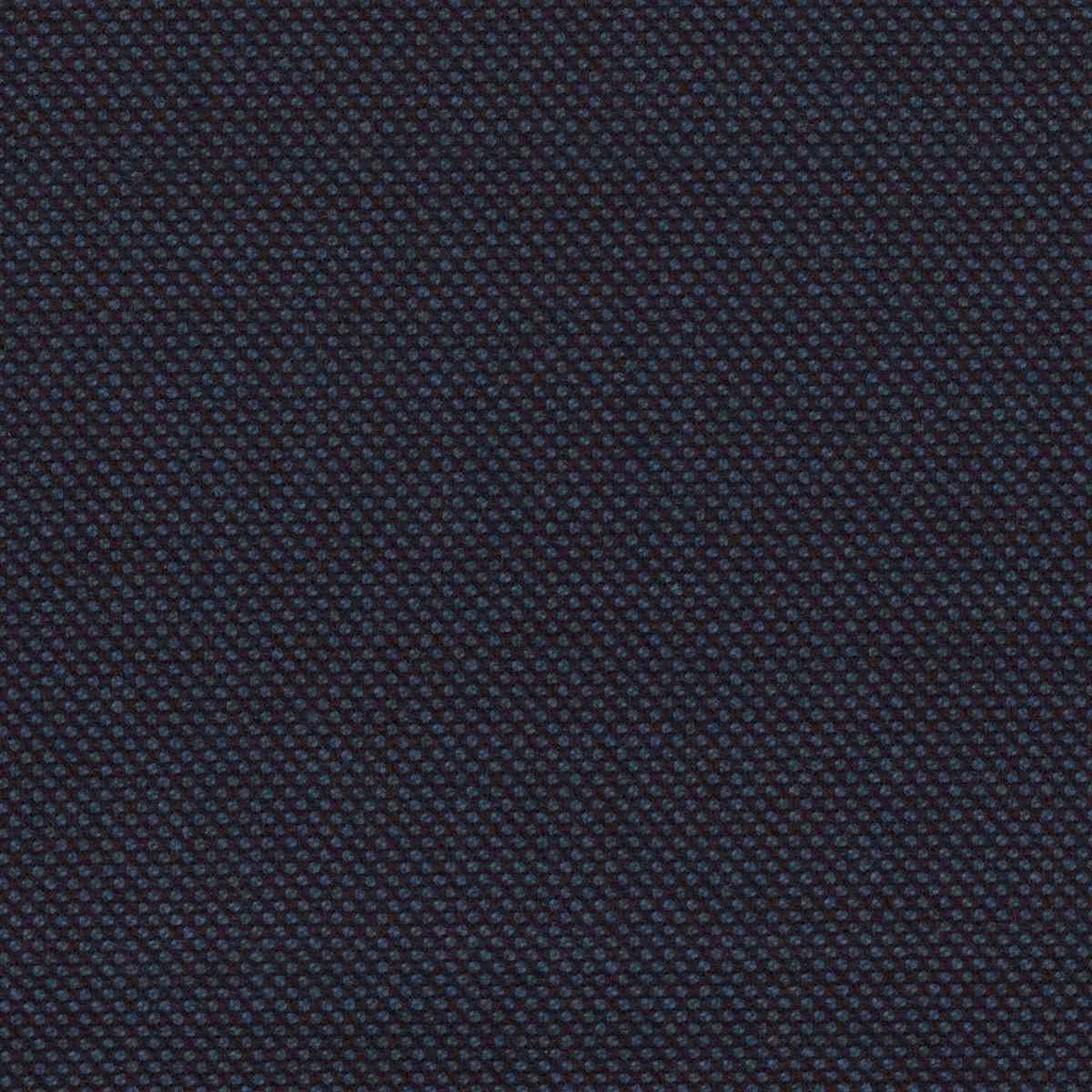 BLUE, BIRDEYE (DR# 61032)