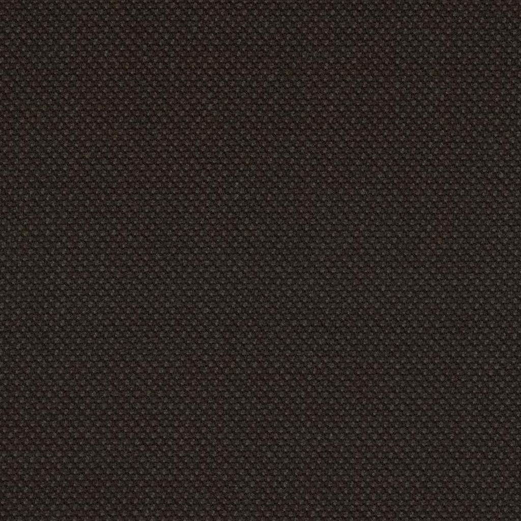 DARK BROWN, BIRDEYE (DR# 61034)