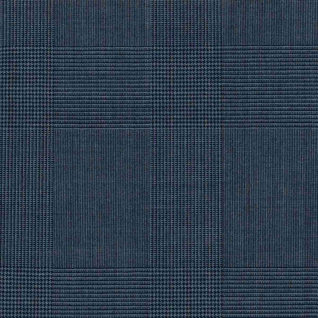 BLUE, BIG CHECKS (DR# 17005)