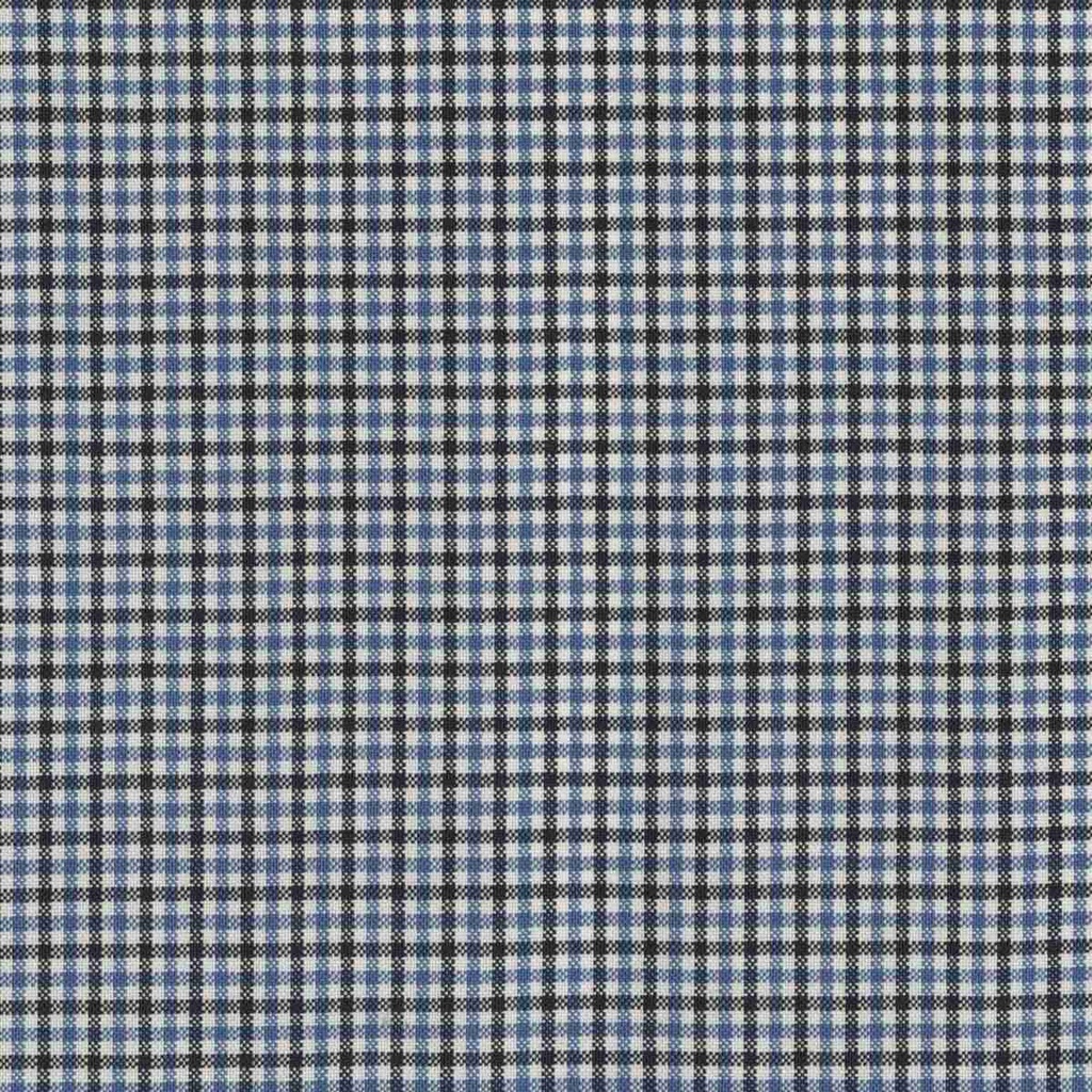 BLUE, BLACK CHECKS (DR# 17009)
