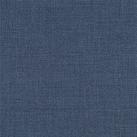 BLUE,PLAIN (101/13)