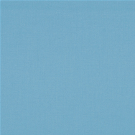 BLUE,PLAIN (101/69)