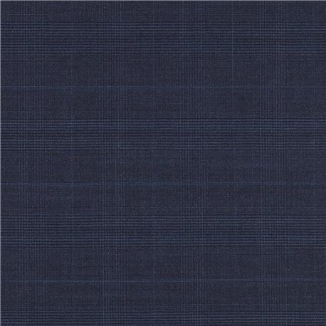 BLUE,CHECKS (102/01)