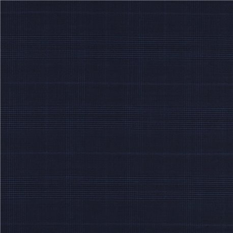 BLUE,CHECKS (102/02)
