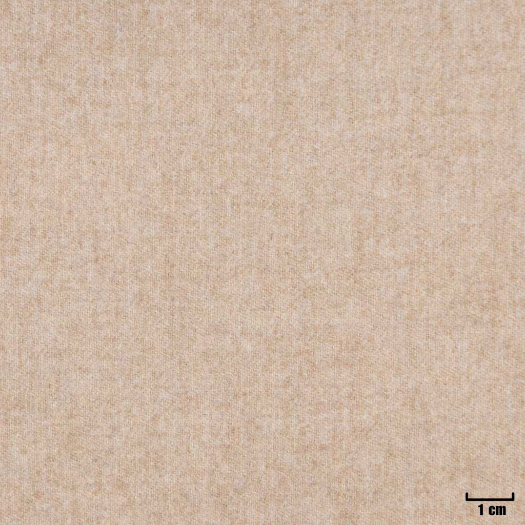 LIGHT BROWN,PLAIN (16/54)