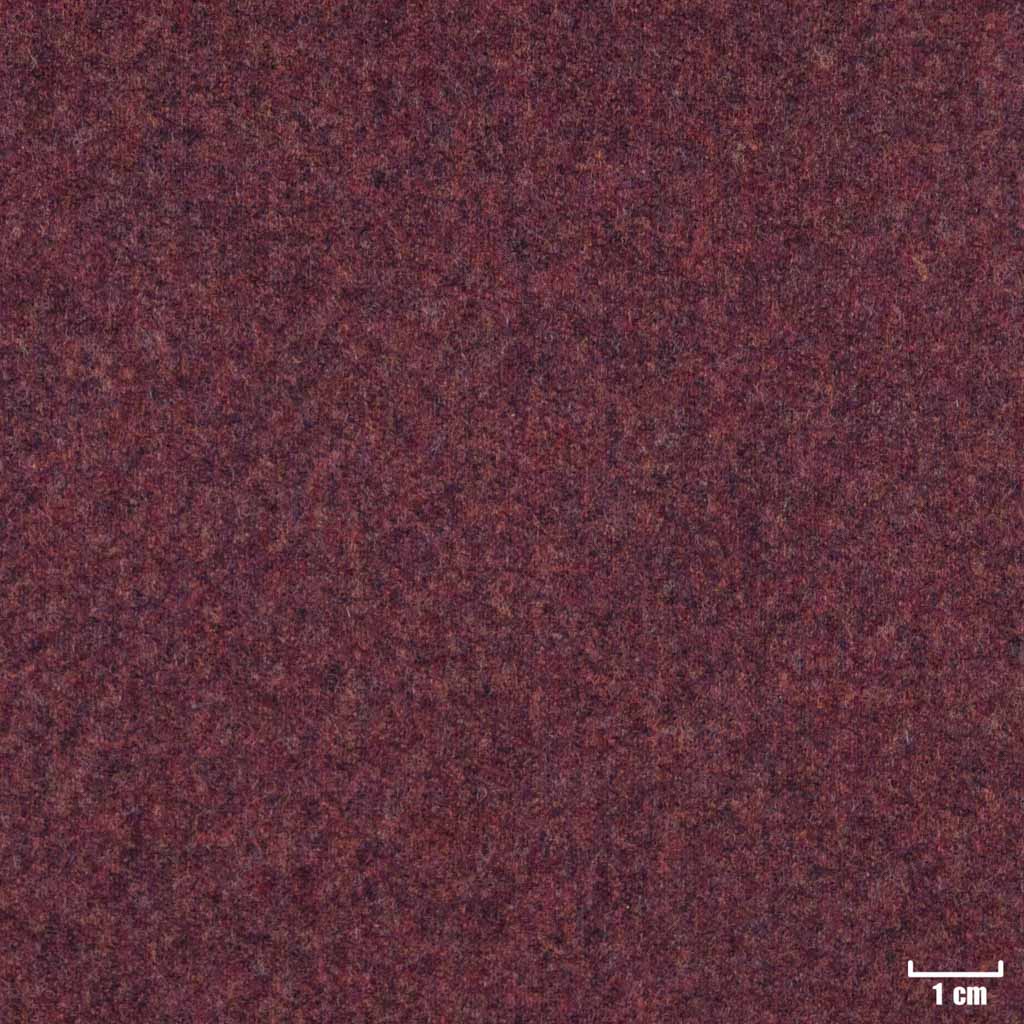 ORANGE RED,PLAIN (16/59)