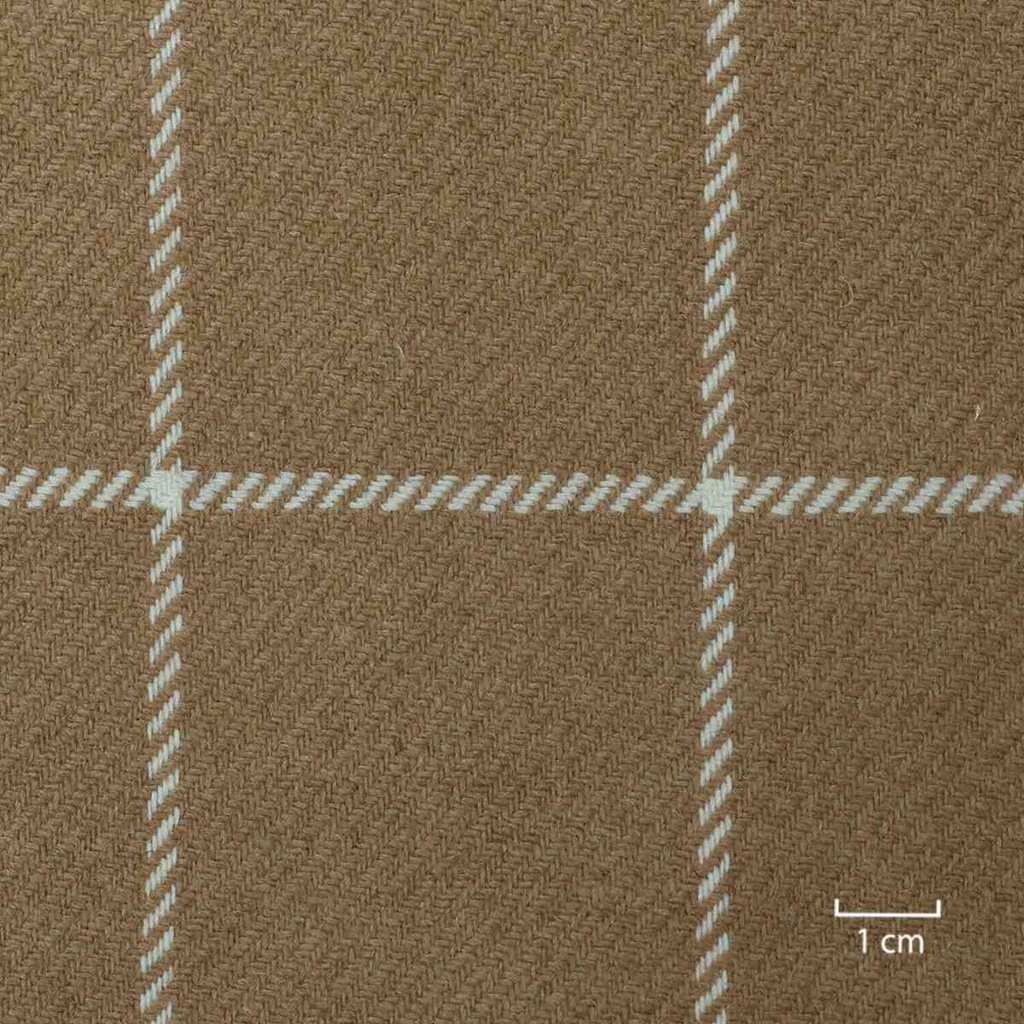 CAMEL,WHITE CHECKS (4/34)