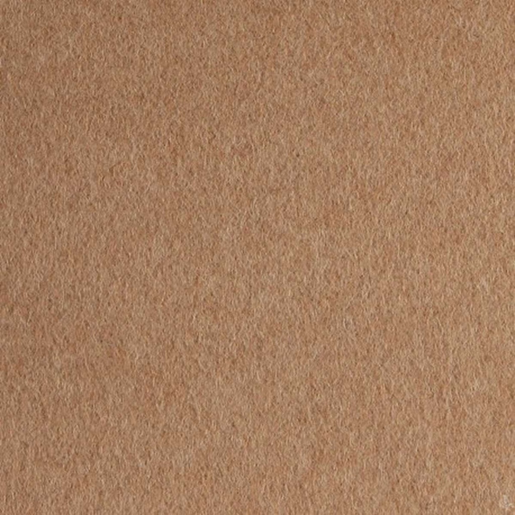 CAMEL,PLAIN (4/04)