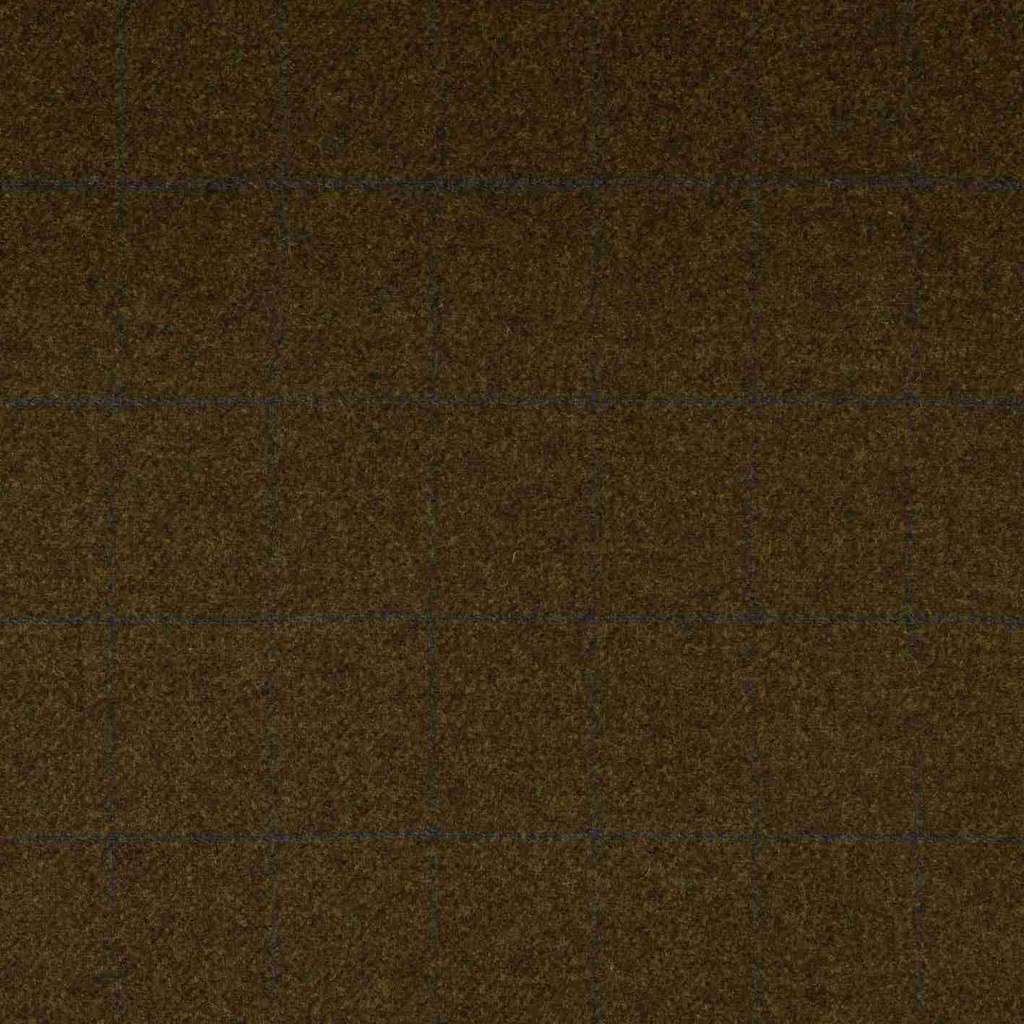 BROWN, BLUE CHECKS