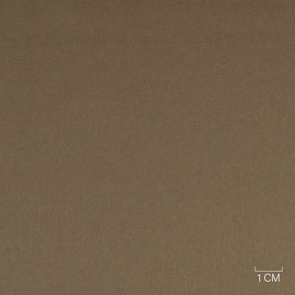 CAMEL, PLAIN