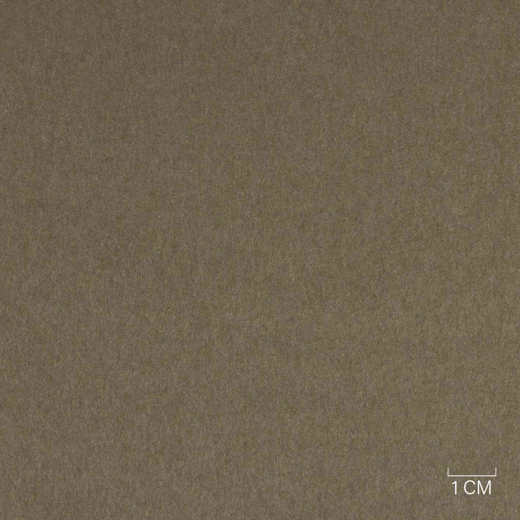 LIGHT BROWN, PLAIN
