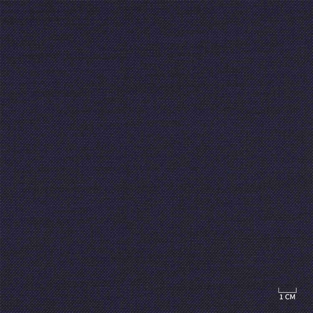 DARK BLUE, BIRDEYE (103/22)