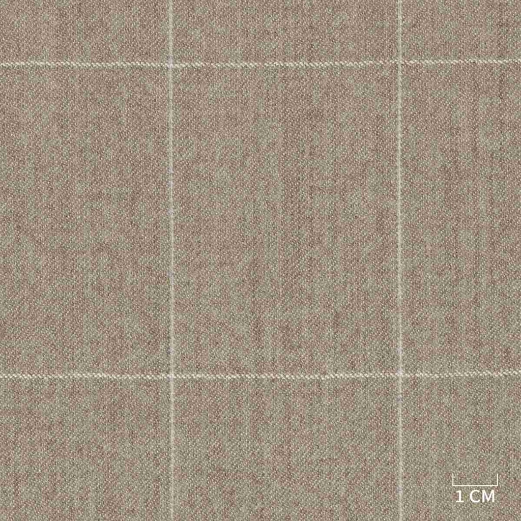 BROWN,CHECKS (DR# 71028)