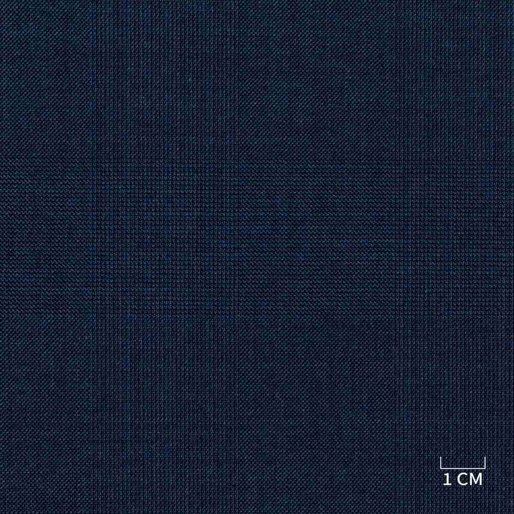 BLUE,CHECKS (DR# 40134)