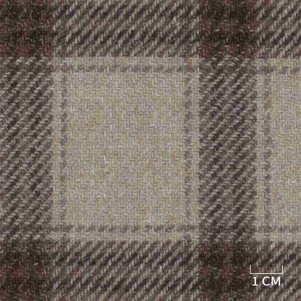 BROWN,CHECKS (DR# 90461)