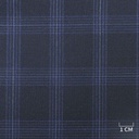 BLUE, CHECKS