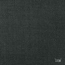 GREY, BIRDEYE